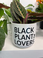 Signature Series Planters  - Black Plant Lovers (3 Color Combos)