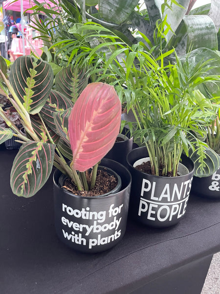 Signature Series Planters - Rooting For Everybody With Plants (3 Colors)