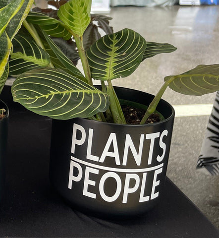 Signature Series Planters - Plants / People