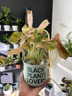 Signature Series Planters  - Black Plant Lovers (3 Color Combos)