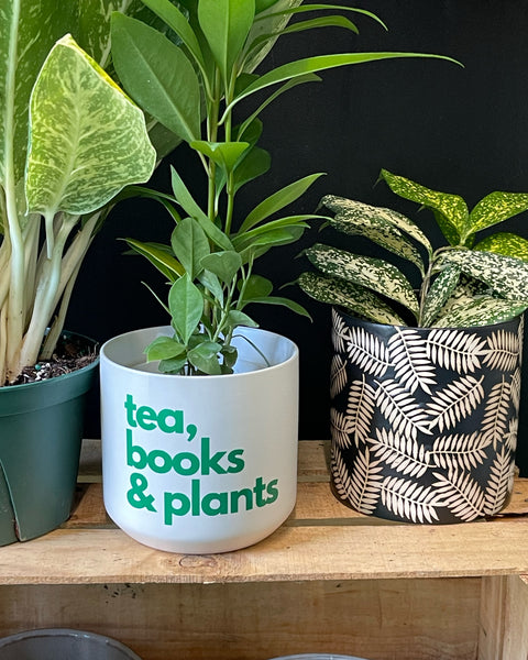 Signature Series Planters - tea, books & plants (5 Color Combos)