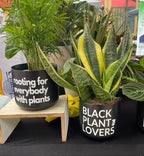 Signature Series Planters  - Black Plant Lovers (3 Color Combos)